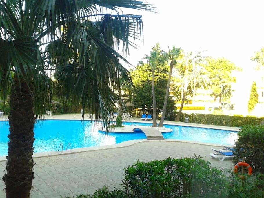 Piso Moderno Con Piscina Siesta 2 Lejlighed Port de Alcudia  Eksteriør billede