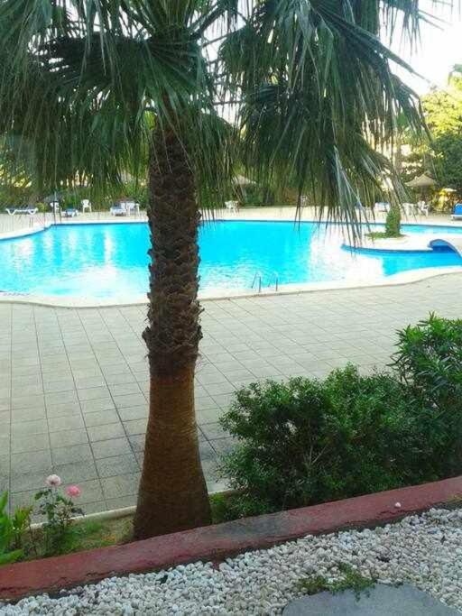 Piso Moderno Con Piscina Siesta 2 Lejlighed Port de Alcudia  Eksteriør billede